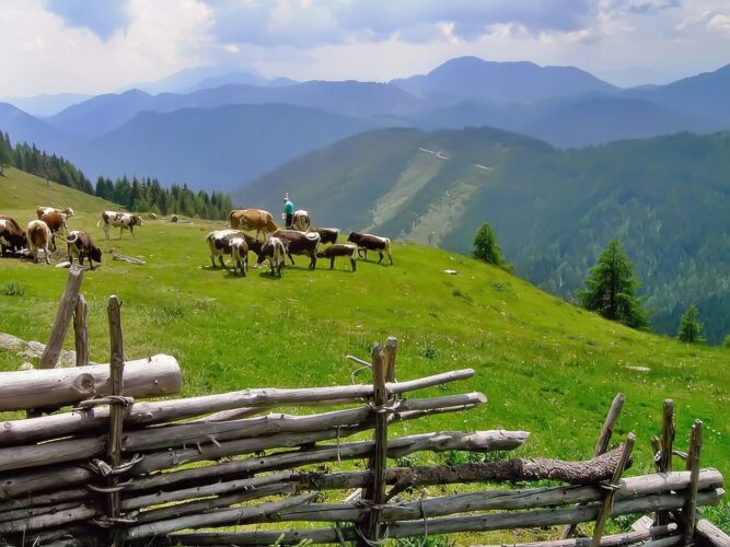 Landgasthof TELL - Almhütte Weide